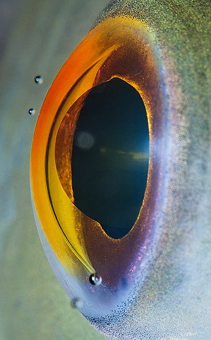 15 © Suren Manvelyan