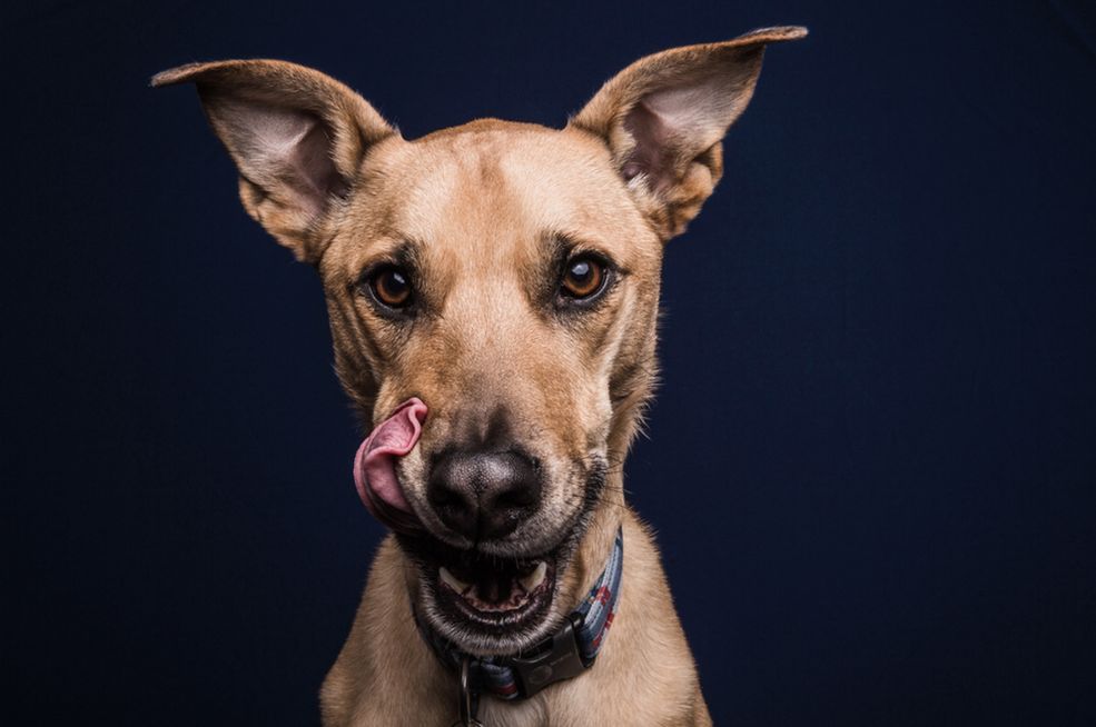 A co Ty czujesz podczas fotografowania?
Jestem po prostu szczęśliwy. Nie czuję, że pracuję, bo czerpię czystą przyjemność z mojego zajęcia. Uwierz mi, to serio świetne uczucie, kiedy wiesz, że zdjęcia, które zrobisz sprawią komuś wiele radości.