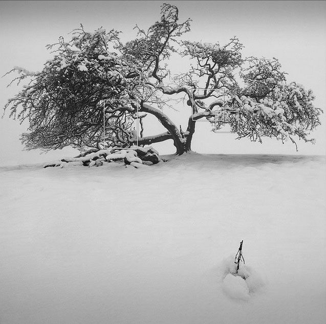 3 winter