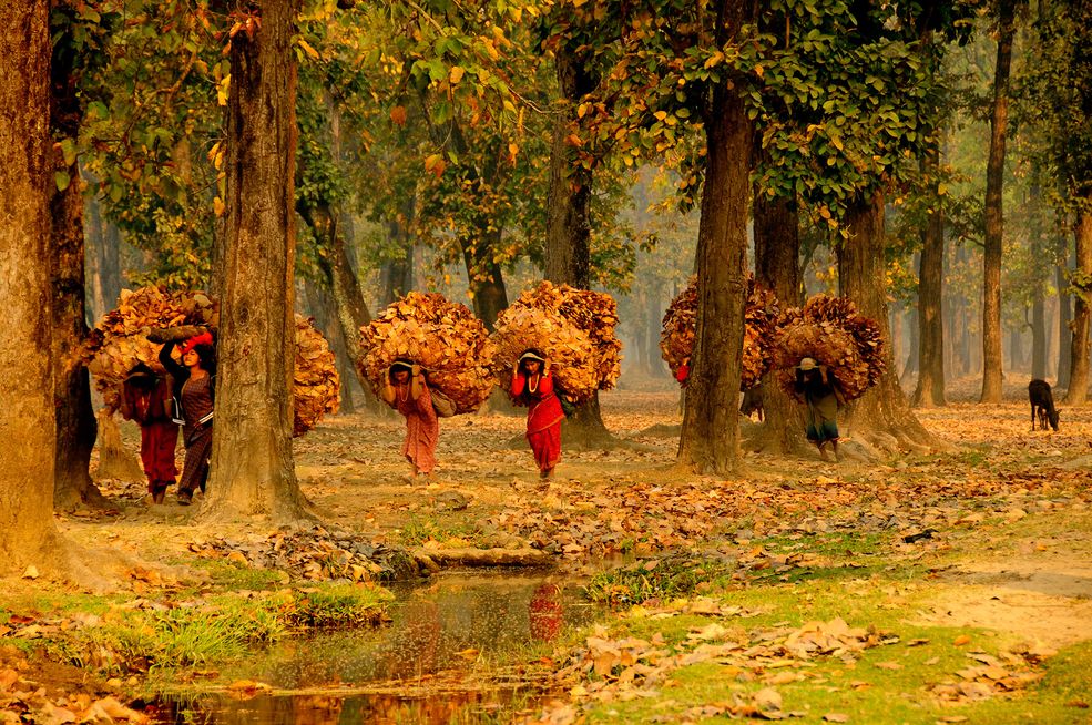 Nepal