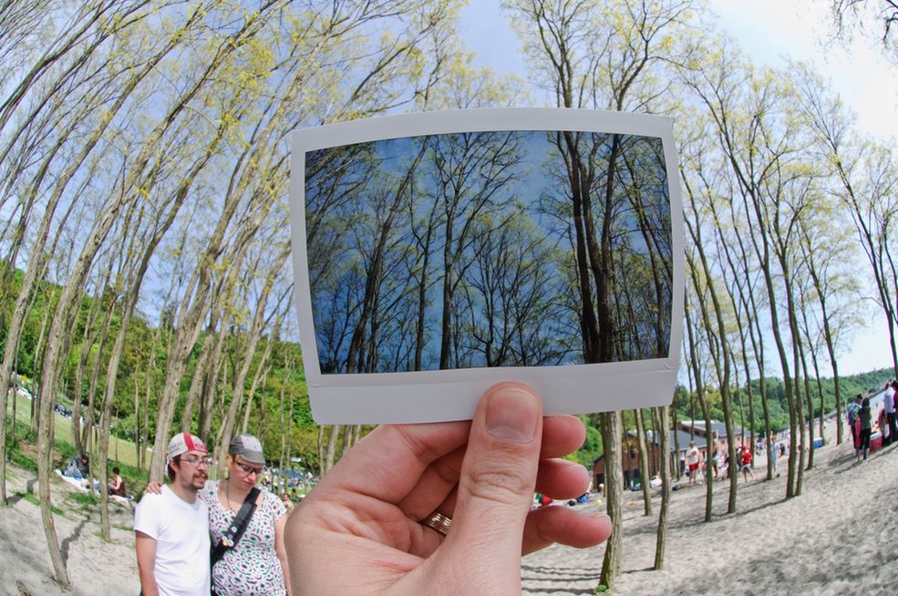 Spring Trees
