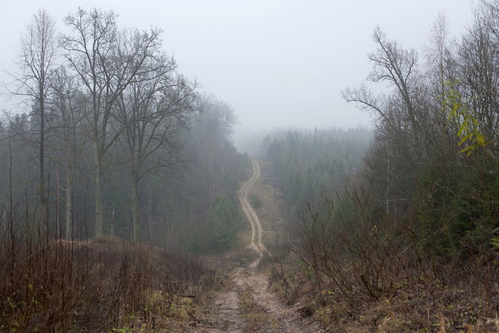 Cykl fotografii "Clear of People to zapis tej drogi. Podążając za mapą przygotowaną przez stryja, Iwanowski wychodzi na spotkanie krajobrazowi naznaczonemu historią - zarówno w jej szerszym, politycznym znaczeniu, jak i w tym ludzkim, osobistym, znanym z opowiadań bliskich ludzi, którzy byli częścią tej historii.