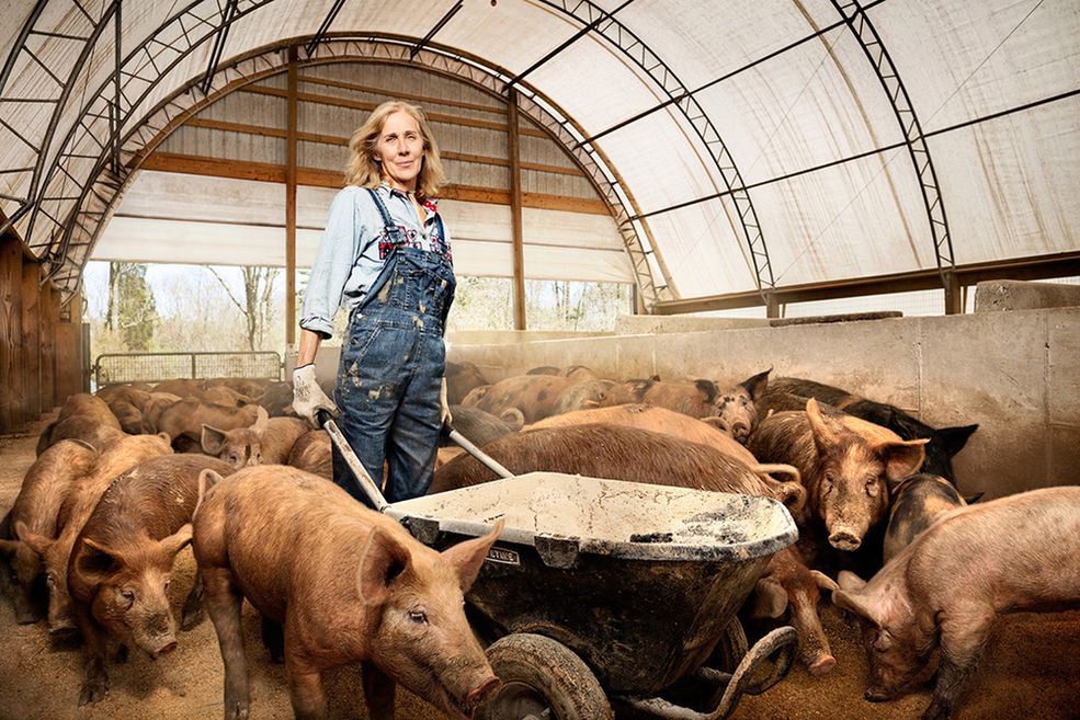 Na zdjęciach Crismana zobaczymy rzeźniczkę, strażaczkę, warzelniczkę piwa, architektę, farmerkę, cieślę, rybaczkę, wypychaczkę zwierząt, kierowczynię maszyn budowlanych, operatorkę młyna oraz górniczki. Te kobiety charakteryzują się niesamowitą siłą i determinacją.