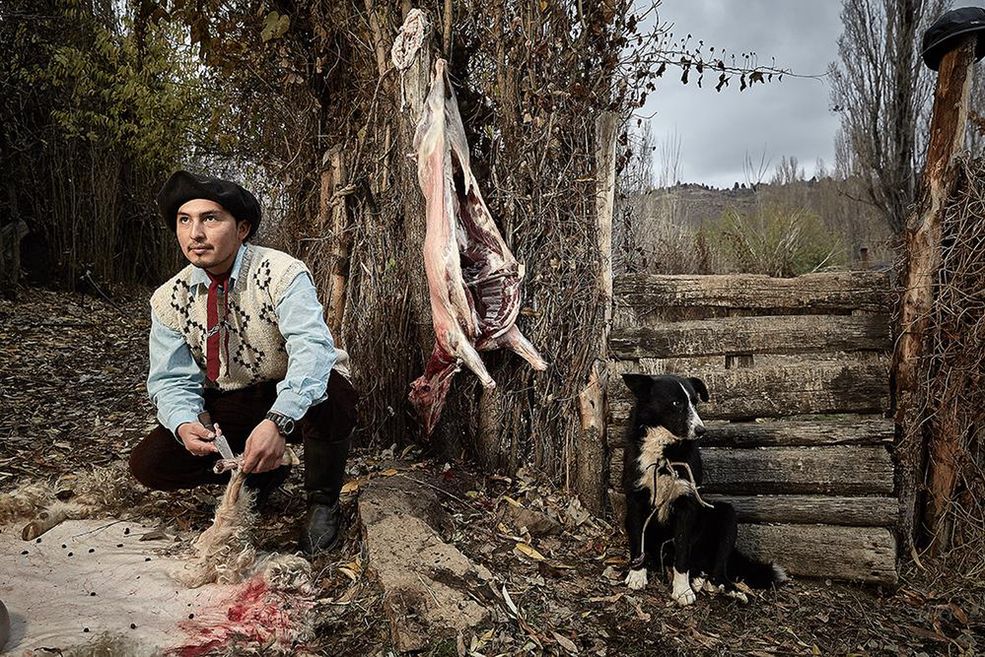 International Photography Awards to jeden z największych konkursów na świecie, w którym zmagają się fotografowie z różnych regionów. Współzawodnictwo dotyczy kilkunastu kategorii przeznaczonych dla zawodowców oraz amatorów.