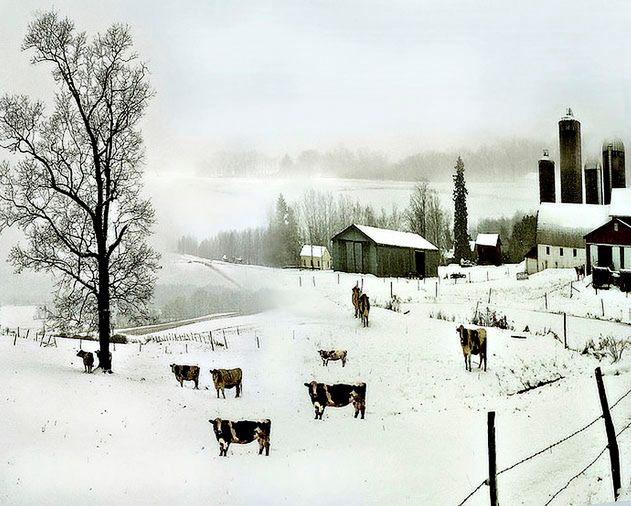 5 winter