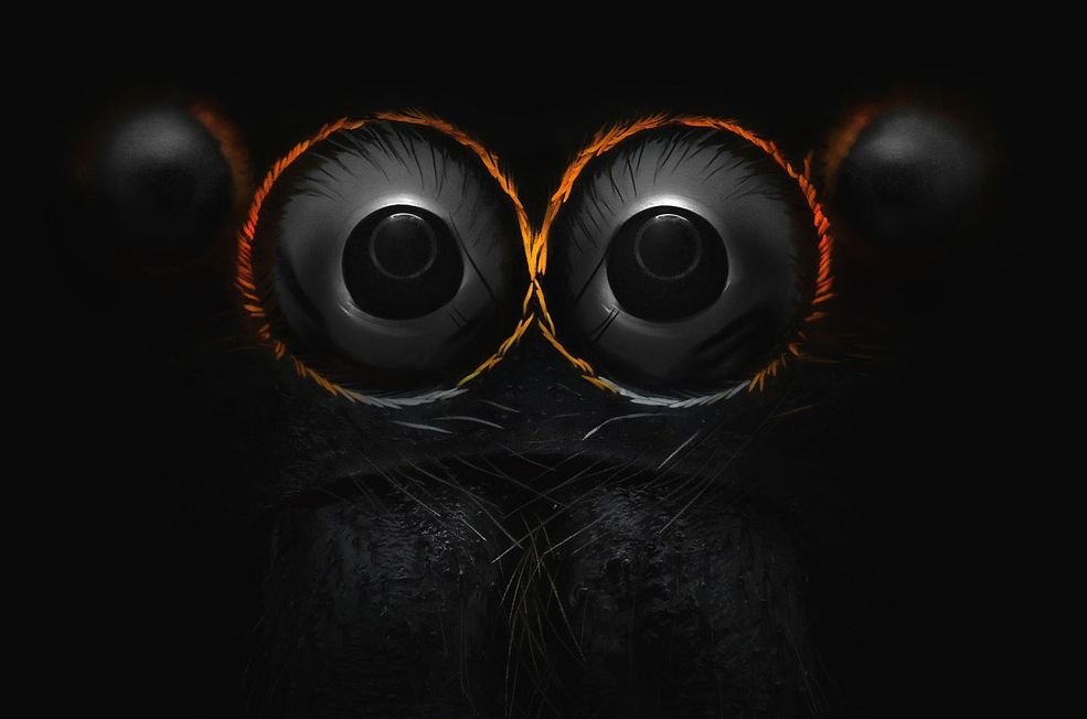 Zdjęcia makro? Nie, to nuda! W Nikon’s Small World liczą się tylko zdjęcia mikro. Jest to jeden z najstarszych i zarazem najbardziej znany konkurs fotograficzny w tej dziedzinie na świecie. Ze względu na wieloletnią tradycję, współzawodnictwo zyskało miano wyznacznika piękna i trendów w świecie fotografii mikroskopowej.