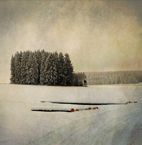 8 winter
