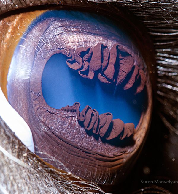 18 © Suren Manvelyan