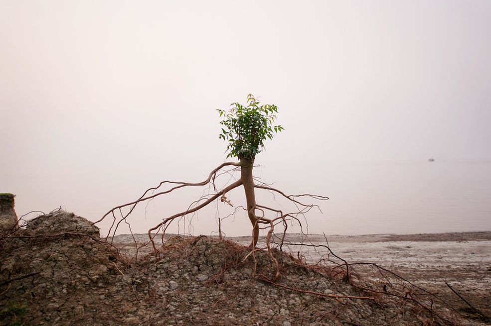 Pierwsze miejsce w kategorii Seria Zdjęć zdobył koreański fotograf za cykl zdjęć pt. “On the Shore of a Vanishing Island” (Na brzegu znikającej wyspy), który powstał na znikającej wyspie Ghoramara w Indiach.