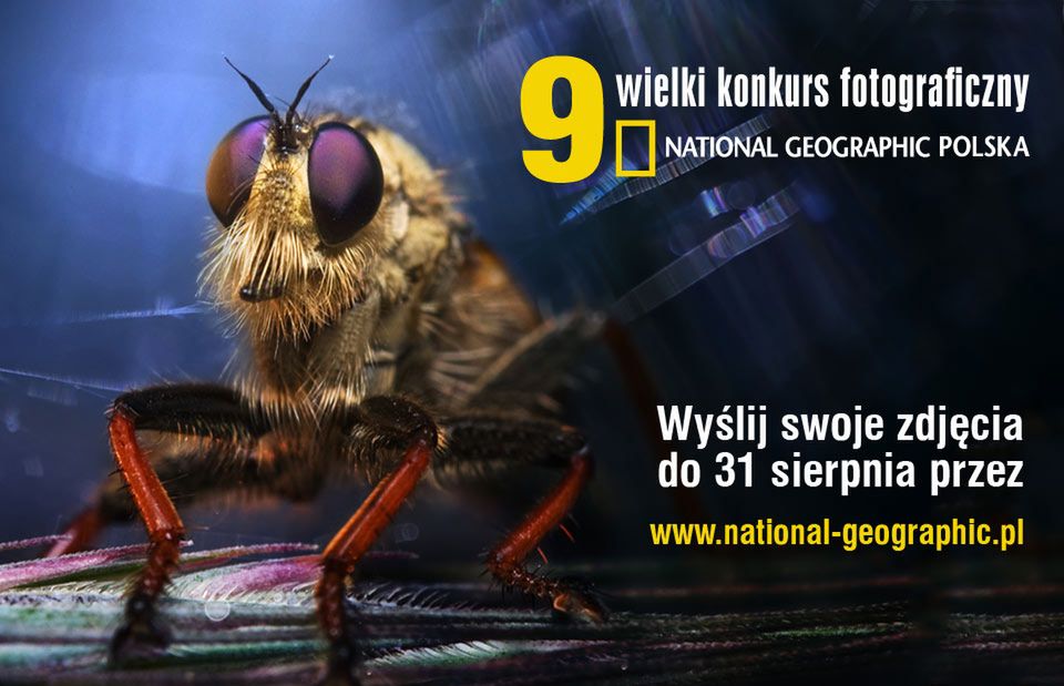 1 Weź udział w 9. edycji Wielkiego Konkursu Fotograficznego National Geographic. Na zwycięzców czekają atrakcyjne nagrody oraz publikacja zdjęć na łamach magazynu National Geographic Polska. Swoje prace można zgłaszać do 31 sierpnia. Więcej informacji znajdziesz TUTAJ.