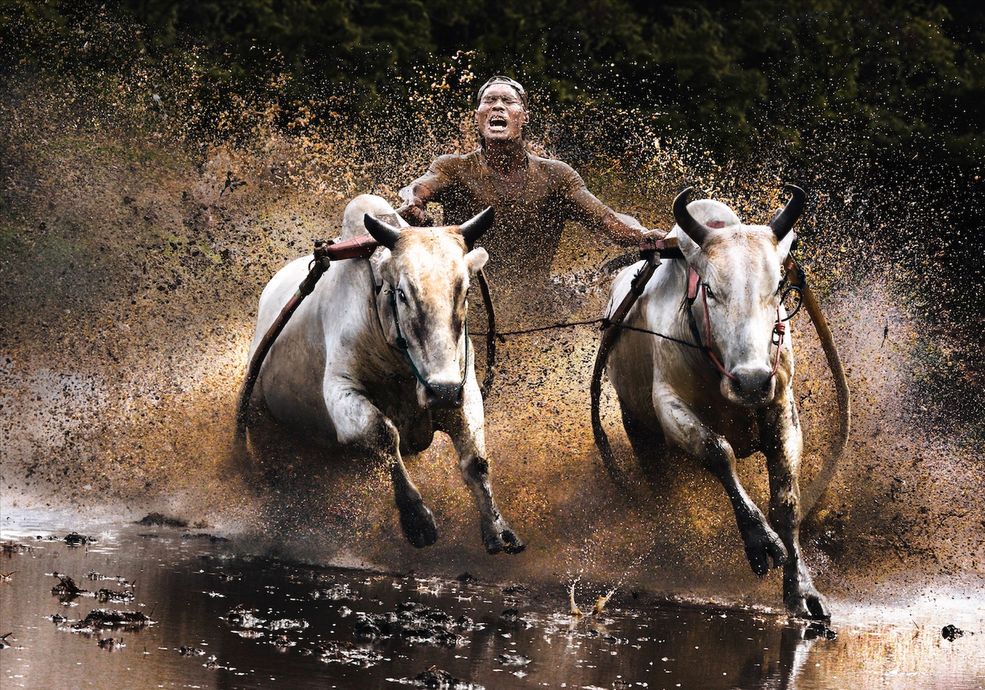 Akcja: Chan Kwok Hung (Hongkong) Courtesy of Sony World Photography Awards 2011