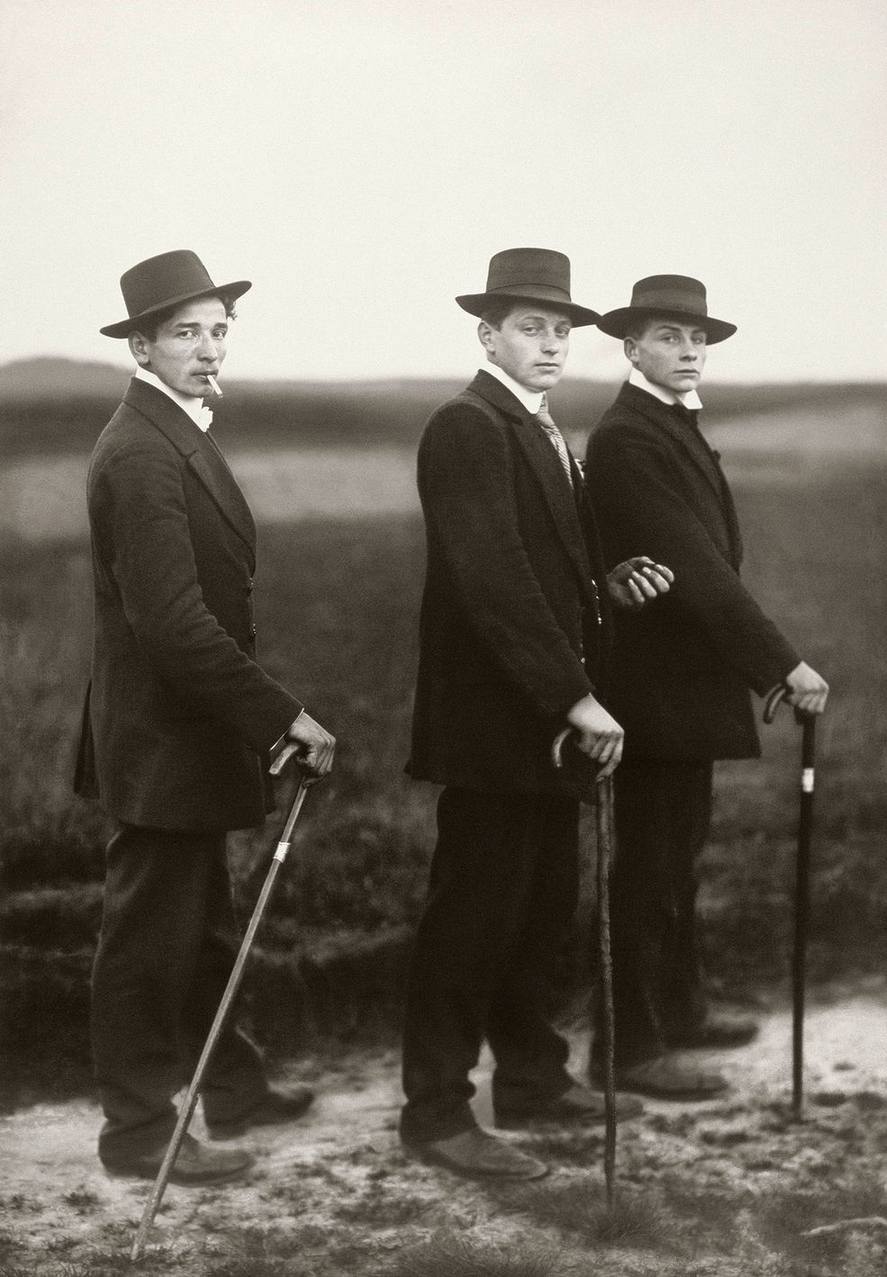 Fotografie Augusta Sandera przedstawiają przekrój społeczeństwa niemieckiego w pierwszych dekadach XX wieku. Tworzą analityczny, ujednolicony formalnie obraz pewnej epoki. Zachęcają do refleksji nad zależnościami sztuki od polityki oraz jej alternatywnymi drogami rozwoju.