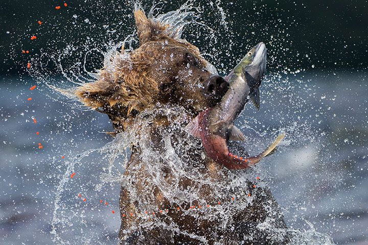 5 Pełną listę wyróżnionych poznamy 15 września.
© Valter Bernardeschi /2013 WPY