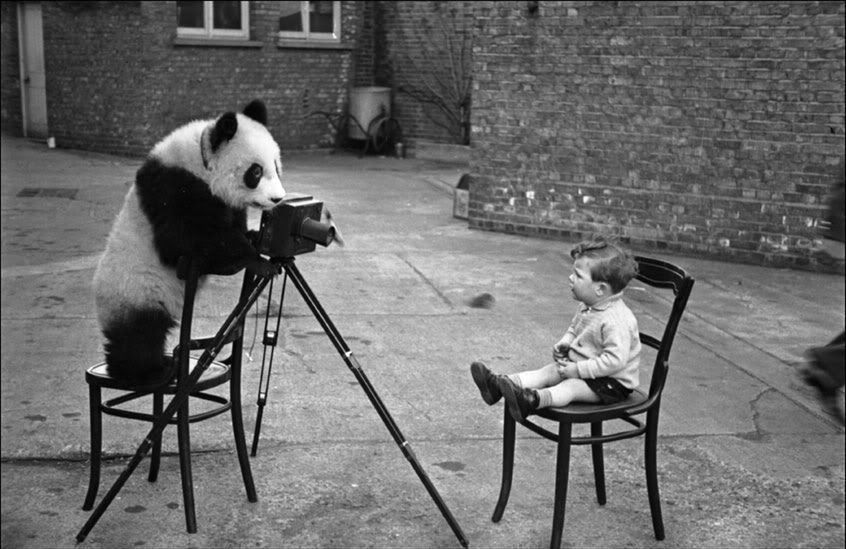7 Pstryk! 1938, Fot. Bert Hardy