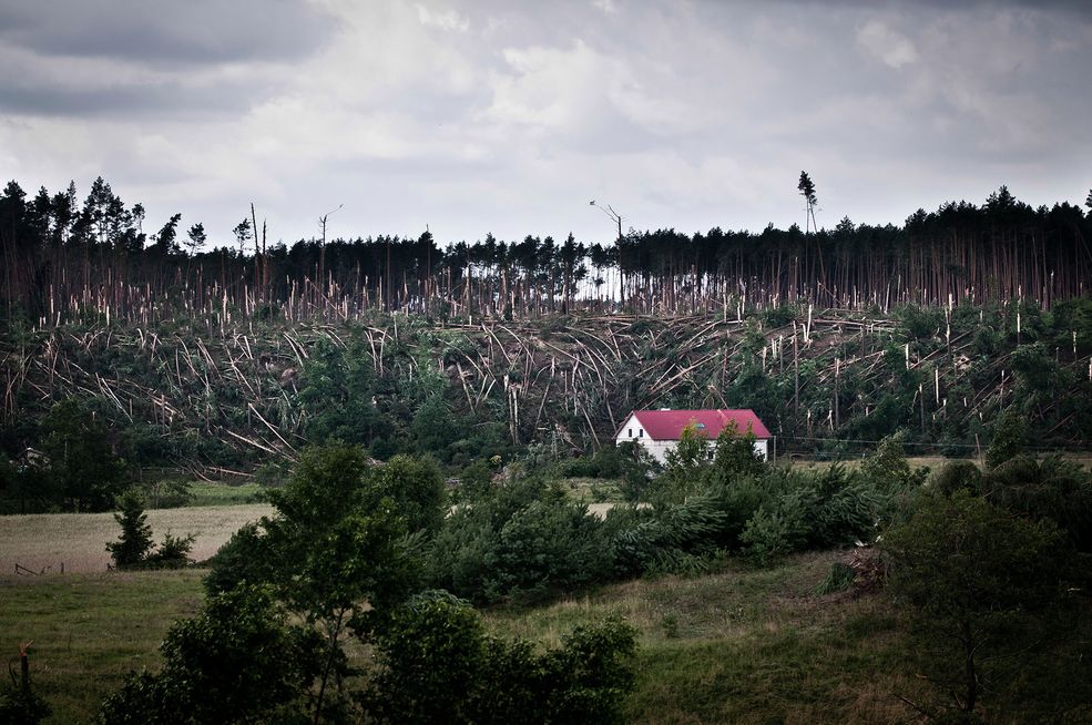 PRZYRODA - FOTOREPORTAŻ - MIEJSCE 1 TYMON MARKOWSKI (Express Bydgoski). Skutki przejścia trąby powietrznej w miejscowoúci Stara Rzeka, województwo kujawsko-pomorskie. Stara Rzeka (Polska), 15-16 lipca 2012 r.