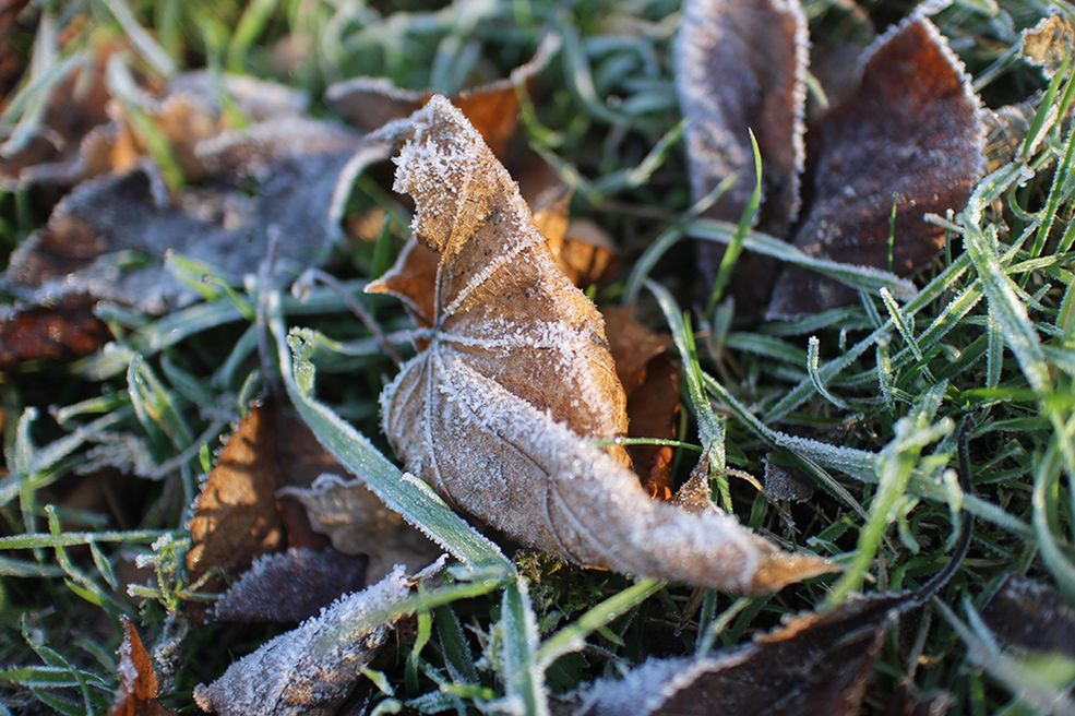 15 22 mm, 1/400 s, f/2, ISO 100, JPEG, oryginał: TUTAJ