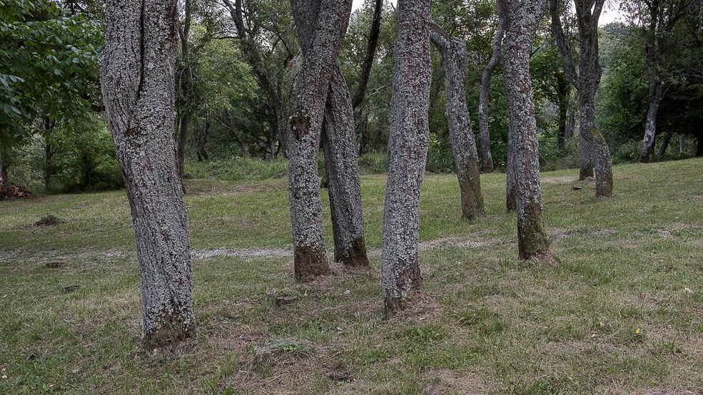 Jak właściwie należy podejść do takiego tematu? Jak rozmawiać z ludźmi, jak ich fotografować?
O samego początku wiedziałem, że będę robił portrety oraz będę chciał sfotografować samo miejsce, gdzie była kiedyś wieś. W tej chwili praktycznie nie ma tam budynków, poza lekko odrestaurowaną szkołą i ruiną domu nauczyciela. Postanowiłem odtworzyć nastrój i klimat, jaki czułem.
Jest to niewielka polana otoczona lasami i górami. Widoczne jest kilka miejsc po domach, które tam się znajdowały, stary cmentarz i cisza. Dla mnie ten zestaw zdjęć jest opowieścią o czasie i przemijaniu. Mówię o tym jak niewiele potrzeba by miejsce, które człowiek próbował przez kilkaset lat okiełznać i próbował w nim żyć, zostało pochłonięte przez naturę.
Dla ludzi Derenk funkcjonuje już tylko w pamięci. Tak samo jak odchodzi pokolenie, które pamięta jak to miejsce tętniło życiem. Dlatego wybrałem portrety.
Truizmem jest mówienie, że z twarzy można dużo wyczytać, ale to prawda. Zwłaszcza u ludzi, którzy mają już całe życie za sobą. Podczas wspomnień kumuluje się u nich wiele emocji. Pojawia się wzruszenie, smutek, czasem żal. Ja miałem utrudnioną sytuację – mieszkańcy prowadzili rozmowy w języku mi obcym, a tylko trzy osoby część historii opowiadały w gwarze z Derenku.
Postanowiłem także umieścić w zestawie młodych ludzi, ponieważ to oni stanowią ciągłość pamięci o Derenku.