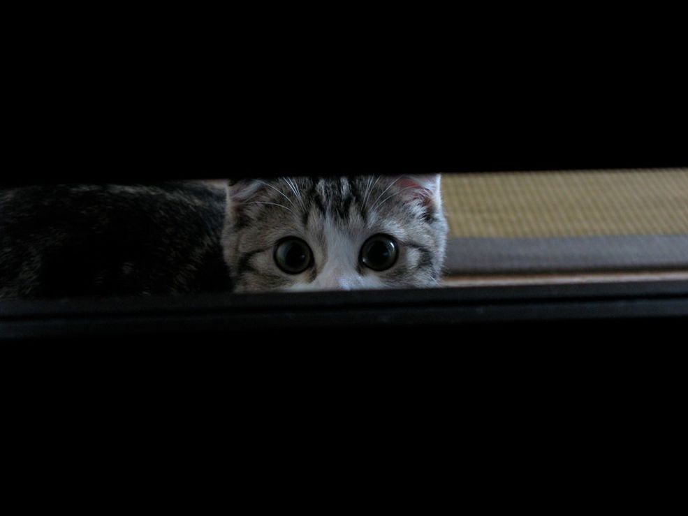 don't leave me