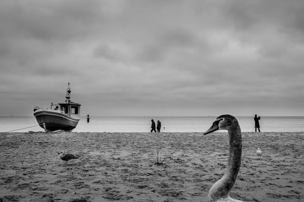 Rozwiązanie Poland National Award zostanie przedstawione 15 marca 2016 roku. Zwycięzca otrzyma sprzęt fotograficzny firmy Sony, a jego fotografia trafi na stronę portralu www.worldpohoto.org. Ponadto zwycięskie zdjęcie zostanie zaprezentowane na wystawie Sony World Photography Award 2016 w dniach 22.04 – 8.05.2016 w Londynie.