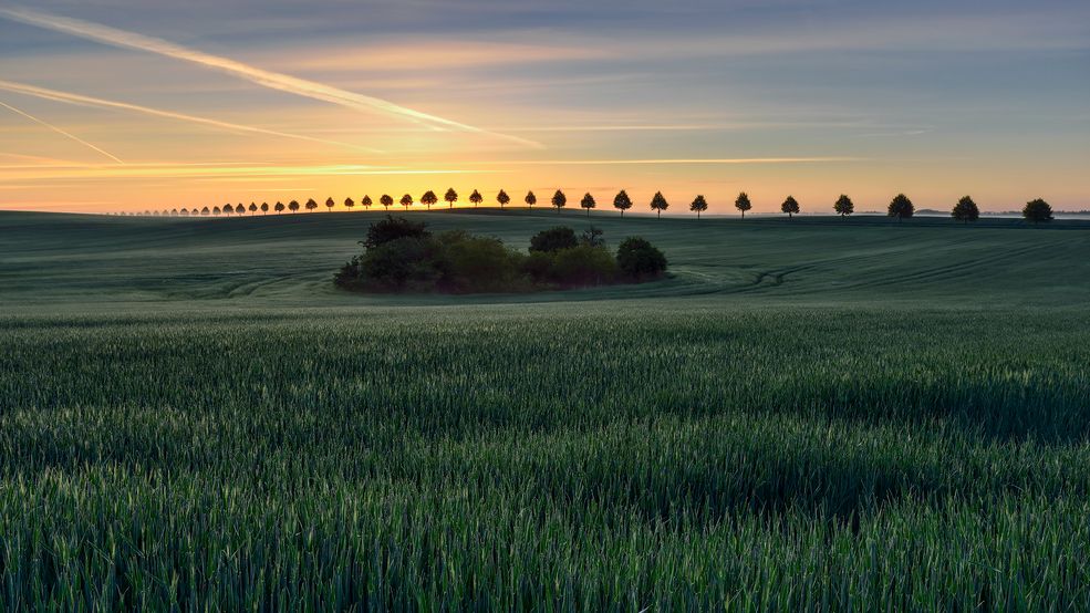 Organizator największego konkursu fotograficznego na świecie – WPO – poszukuje fotografów z Polski, którzy wezmą udział w specjalnej edycji SWPA – Poland National Award.