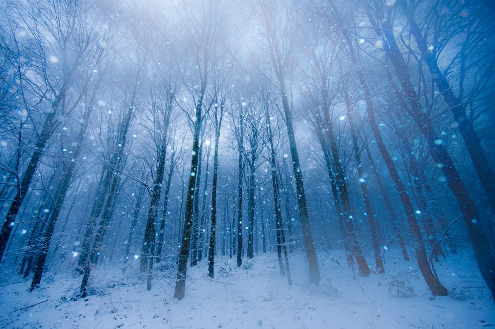 Bartosz nie skupia się tylko na jednym rodzaju fotografii przyrodniczej. Interesują go zbliżenia makro, pejzaż czy fotografia dzikich zwierząt. Fotografia przyrody nie jest łatwą sztuką. Dzikie zwierze nie daje szans na duble, nie pozuje jak fotomodelka. Światło podczas „złotej godziny” jest odpowiednie tylko przez chwilę – to właśnie wtedy musimy wykonać często tylko to jedno dobre zdjęcie. W przyrodzie taka sama sytuacja, w tych identycznych warunkach rzadko zdarza się dwa razy. Gdy jednak uda nam się pomimo tych niedogodności wykonać dobre zdjęcie satysfakcja jest nagrodą, dla której warto wstać o 3 rano czy wracać w to samo miejsce po raz enty dla tej jednej wymarzonej fotografii. Ponadto fotografia przyrody uczy cierpliwości, pomaga się wyciszyć.