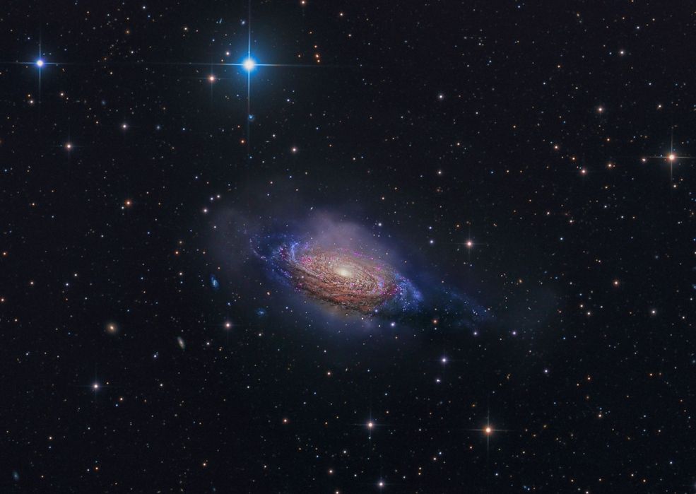 Wśród młodzieży astrofotografem roku został 15-letni Fabian Dalpiaz z Włoch.
Dr Melanie Vandenbrouck, kustosz sztuki Królewskiego Muzeum w Greenwich powiedziała, że wybór był piekielnie trudny.