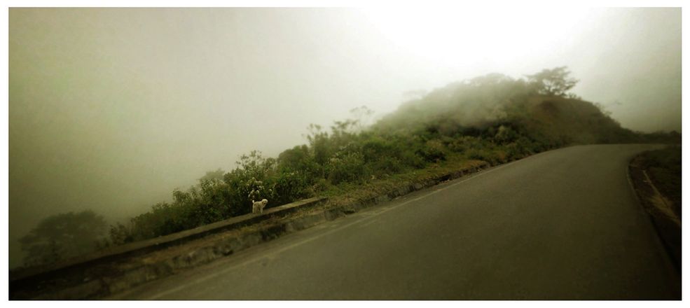 12 Huautla, Meksyk / Google Street View / Aaron Hobson
