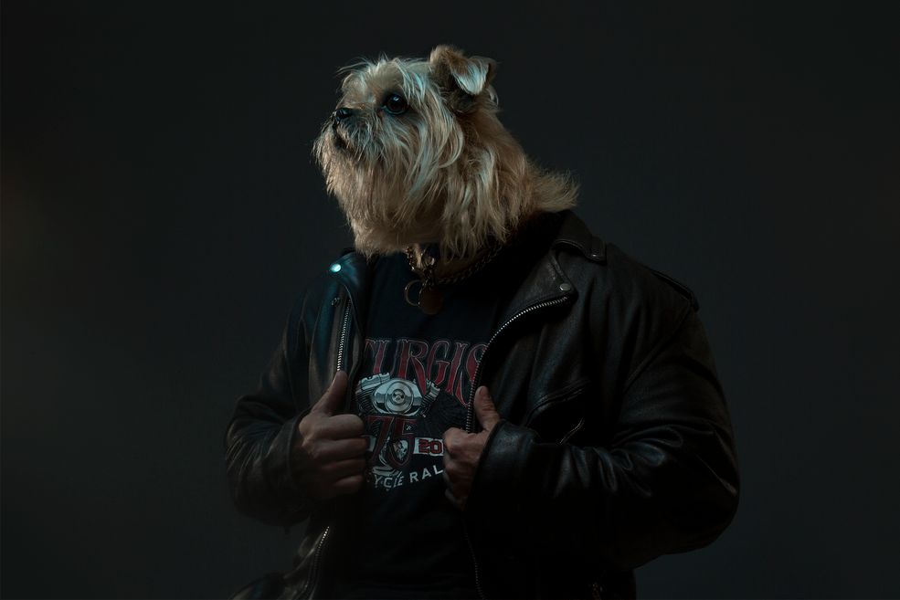 Zdjęcia wykorzystane za zgodą autora.