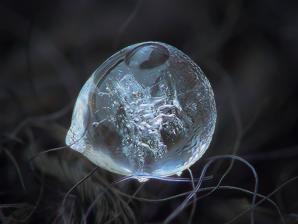 Na wstępie bardzo ciekawa rzecz. Alexey wcale nie używa najdroższego i najlepszego sprzętu fotograficznego. Artysta uważa, że jego twórczość tego nie wymaga. Wykorzystuje do zdjęć Canona Powershot A650is z 6-krotnym optycznym zoomem, co którego podłączony jest odwrócony obiektyw Helios 44M-5 z radzieckiego aparatu Zenit. Pozwala mu to na robienie przepięknych zdjęć.