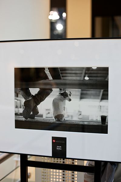20 Leica Gallery - wernisaż wystawy konkursu "Moment jest tylko jeden" fot. Jacek Siwko
