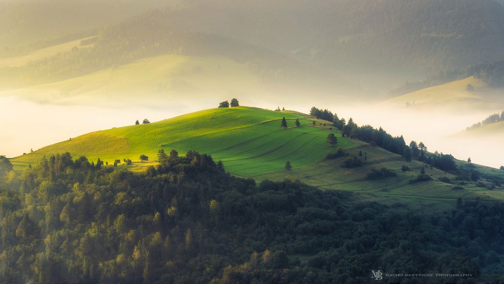 Początkowo fotografię wykorzystywał do zapisywania przeżytych chwil i odwiedzanych miejsc. Szybko jednak zdał sobie sprawę, że jego zdjęcia nie odzwierciedlają wrażenia, jakie zrobiły na nim te miejsca. Rozpoczął swoja naukę - analizował zdjęcia, które zrobił i porównywał je do zdjęć, które go inspirowały. Chciał zrozumieć, jak zrobić zdjęcie, które oddaje to, co czuje podczas fotografowania pięknych widoków. Z czasem zagłębiał się coraz bardziej w tajniki fotografii i włożył w swoją pasję wiele wysiłku. To właśnie ten wysiłek odróżnia pasję od hobby.