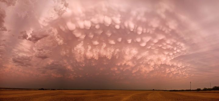 Wikipedia podaje: „Odmiana ta występuje zwłaszcza przy chmurach stratocumulus i cumulonimbus u ich podstawy lub, jak to ma najczęściej miejsce u cumulonimbusa, w dolnej części kowadła. Tę odmianę obserwuje się czasem u chmur cirrus, prawdopodobnie wówczas, gdy pochodzą one z rozpadającego się kowadła chmury cumulonimbus".