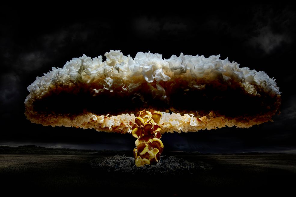 W ramach nowego projektu "The fallout of the system food” ("Upadek systemu żywienia"), fotograf Henry Hargreaves wraz ze stylistką Caitlin Levin stworzyli serię zdjęć, przedstawiających chmury atomowe uformowane z prawdziwych grzybów.