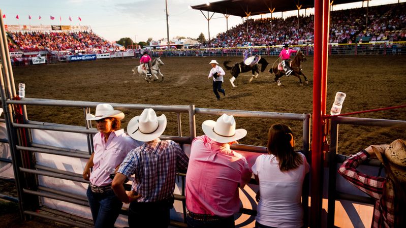 Kansas Beef, fot. Piotr Małecki Dodge City, Kansas, Stany Zjednoczone, sierpień 2011
Rodeo - popularny sport na środkowym zachodzie, gdzie większa część mieszkańców zajmuje się hodowlą bydła lub pracuje w przemyśle mięsnym.
Fot: Piotr Małecki / Napo Images