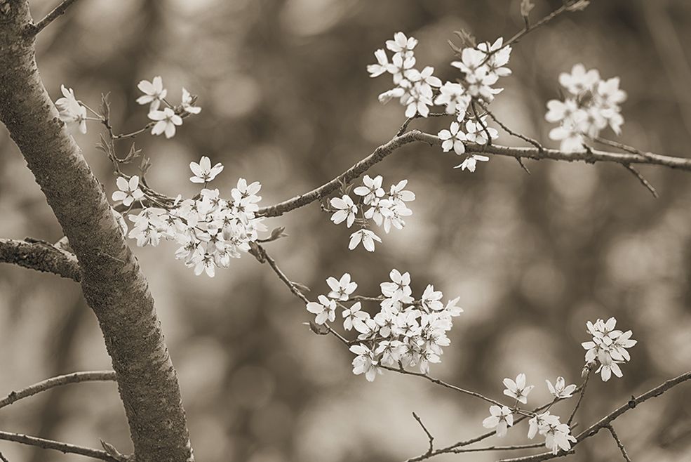 Materiał do projektu został wykonany aparatami Nikon D700, D800 oraz Sony a7 II.
Fotografie wykorzystane za zgodą autora.