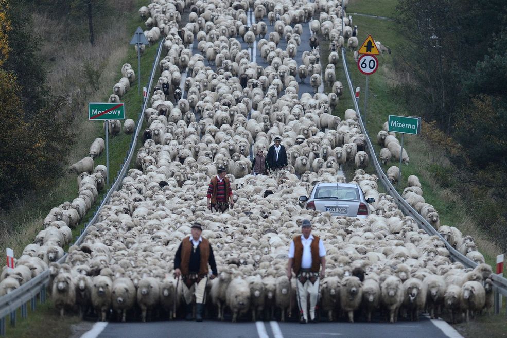 Siena International Photo Award jest międzynarodowym konkursem o najwyższym udziale w historii. Do tegorocznej edycji napłynęło prawie 48 tysięcy zdjęć od fotografów ze 156 krajów świata. Główny cel, jaki przyświeca organizatorom konkursu to możliwość dzielenia się doświadczeniami poprzez fotografię oraz jednoczenie profesjonalnych fotografów i amatorów.