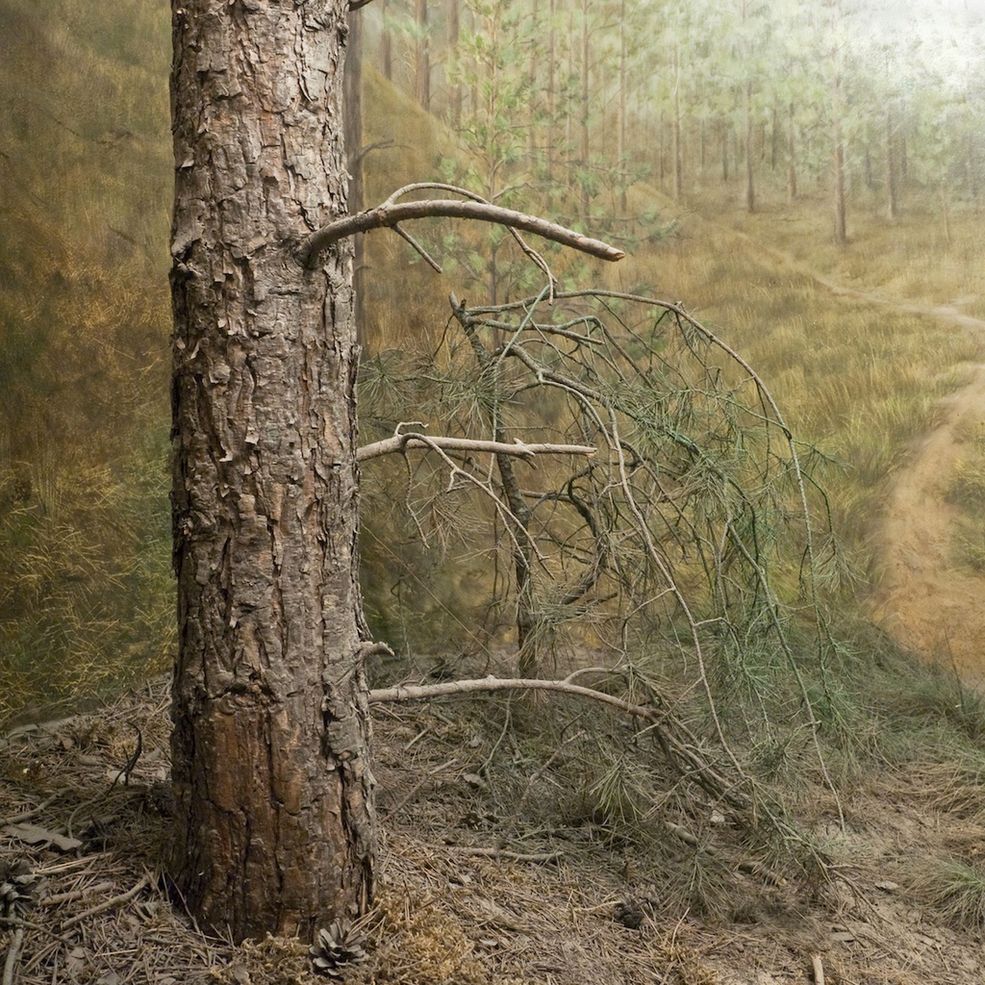 FINE ART / Landscape / 1. miejsce © Florence Iff _courtesy Sony World Photography Awards 2011