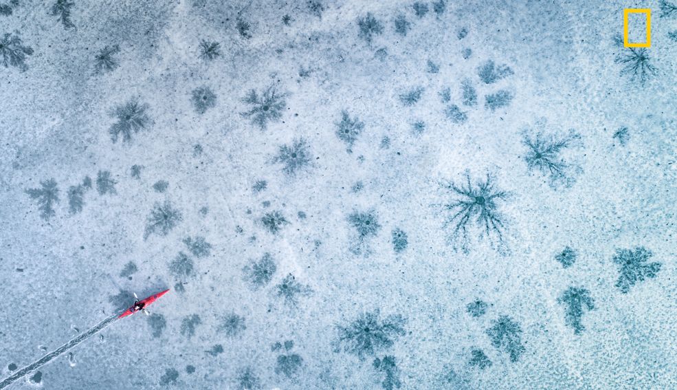 W każdej z kategorii zostanie wyłoniony jeden zwycięzca. Ich zdjęcia mają być pokazane na nationalgeographic.com, co już samo w sobie jest sporym wyróżnieniem. Wyniki konkursu zostaną podane w grudniu 2017 roku.