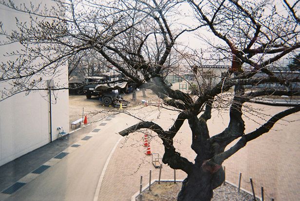 5 Nietypowe spojrzenie na obraz zniszczeń. Projekt Aichi Hirano udowadnia w jak ludzie postrzegają świat będąc w centrum katastrofy.