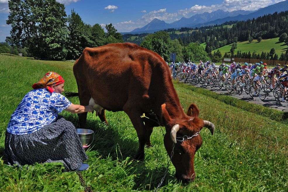 Zdjęcie pojedyncze - III miejsce w kategorii SPORT
Tour De Pologne na Podhalu – trasa z Suchego do Zębu. 2 sierpnia 2013