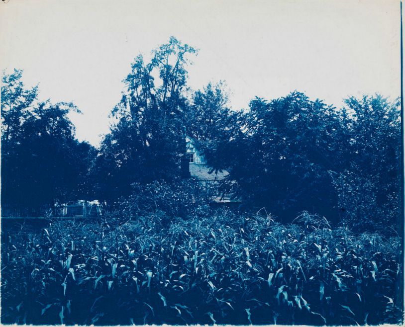 3 Dom Edgara Allana Poe © Collection of the Museum of the City of New York