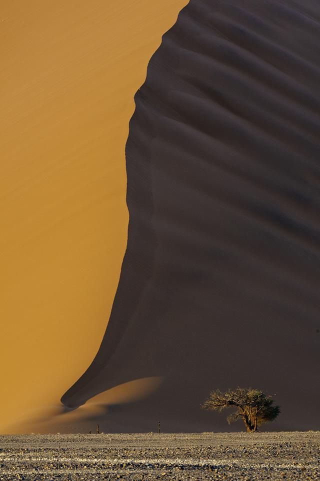 2 Jedno ze zdjęć, które znalazły się z finale 10. edycji konkursu magazynu Smithsonian. Wydmy w Sossusvlei (Namibia) i samotna akacja. Fot. Bob Bush.