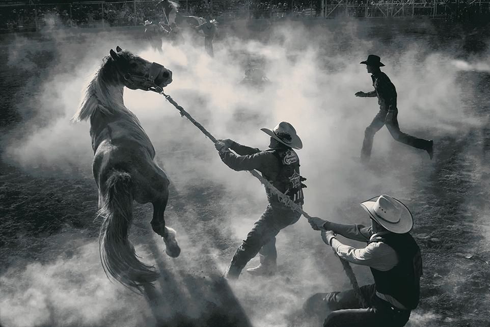19 Aukcja koni na rodeo w Miles City, Montana. Fot. George Burgin.