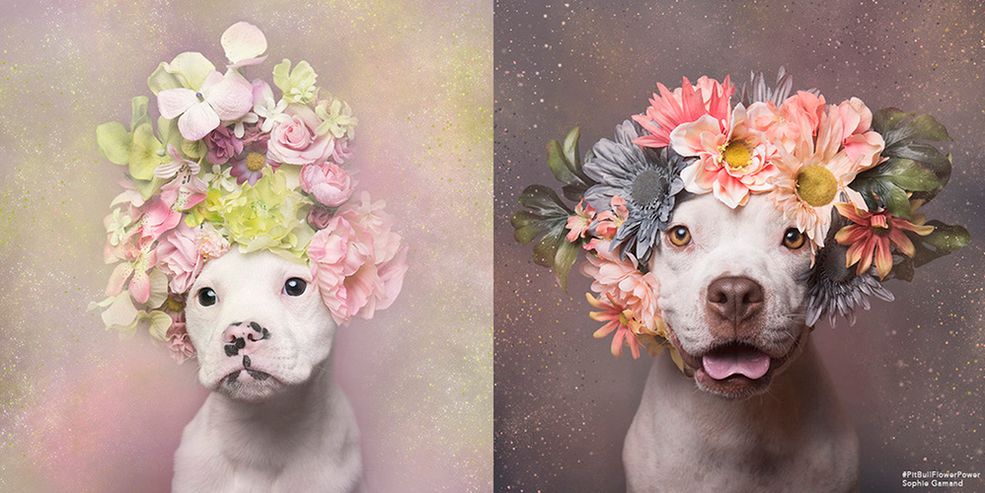 Na zakończenie – czym fotografujesz?
Jestem zwolenniczką Nikona. Nie jestem „techniczna” i nie lubię mówić o sprzęcie. Bez względu na to, czym fotografuję – liczą się tylko końcowe zdjęcia.
Zdjęcia wykorzystane za zgodą autorki.