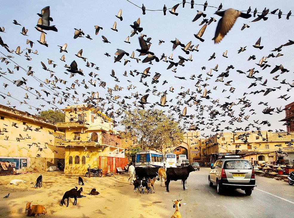 21 Maciej Makowski, Polska, Sony World Photography Awards