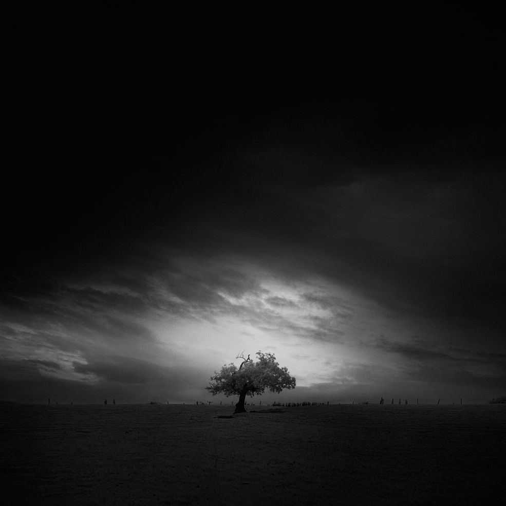 Patrzenie na obraz na matówce i zapach wywoływacza sprawiają mu radość. Andy uwielbia portrety jednak ostatnio odnajduje się także w krajobrazie. Fotografuje na filmie 5x4, średnim formacie, cyfrze i w technice podczerwieni.