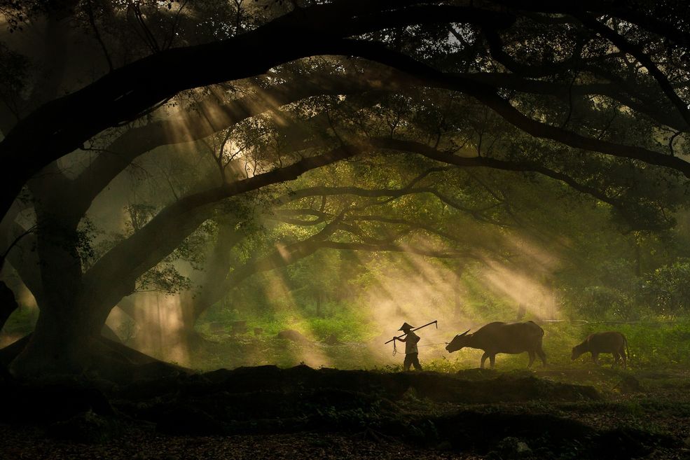Podróże: James Chong (Singapur) Courtesy of Sony World Photography Awards 2011