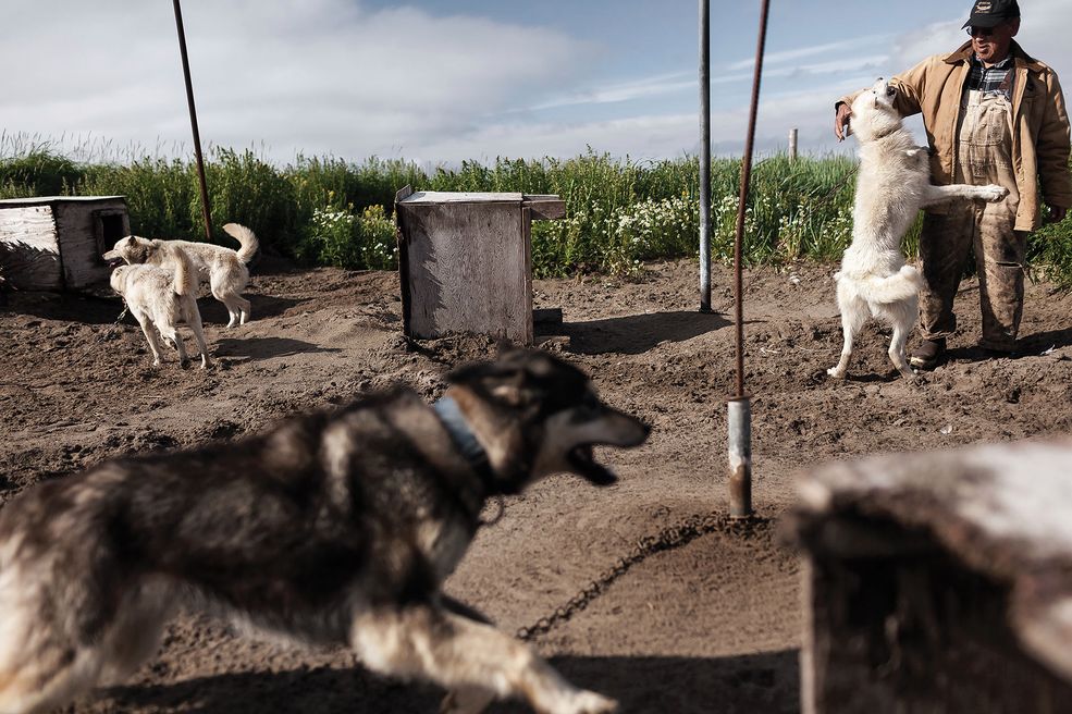 7 W kategorii Leica Oskar Barnack Newcomer Award 2013 wygrał Ciril Jazbec z Słowenii, za portfolio zatytułowane „Waiting to move” opowiadające historię o Eskimosach na Alasce żyjących w obliczu groźby globalnego ocieplenia. W swoim materiale Ciril Jazbec koncentruje się na codziennym życiu, zanikających tradycjach Eskimosów z Shishmaref © Ciril Jazbec