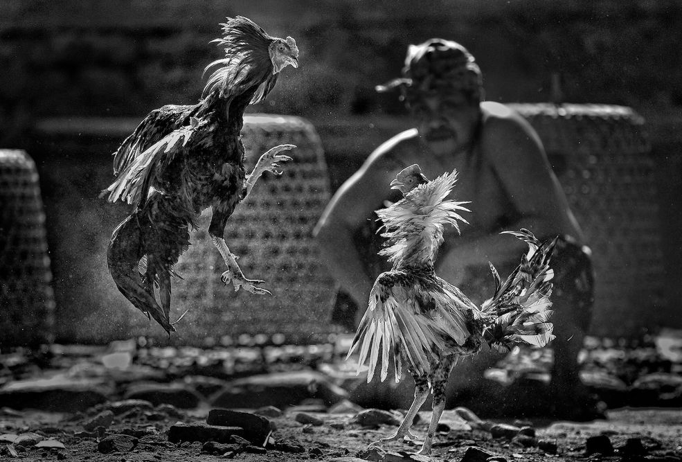 Kultura i sztuka: Hubert Januar (Indonezja) Courtesy of Sony World Photography Awards 2011