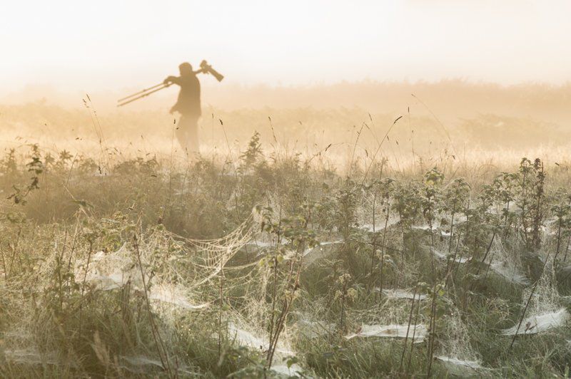 Wszystkie nagrodzone i wyróżnione fotografie możecie obejrzeć na stronie konkursu: www.igpoty.com.